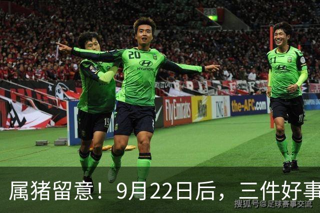 属猪留意！9月22日后，三件好事悄悄向你走来